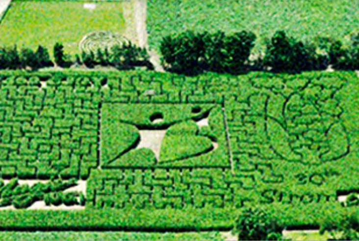 Aerial View of the 2008 Big Brothers & Sisters of Guelph Maze design and Strom's Farm.