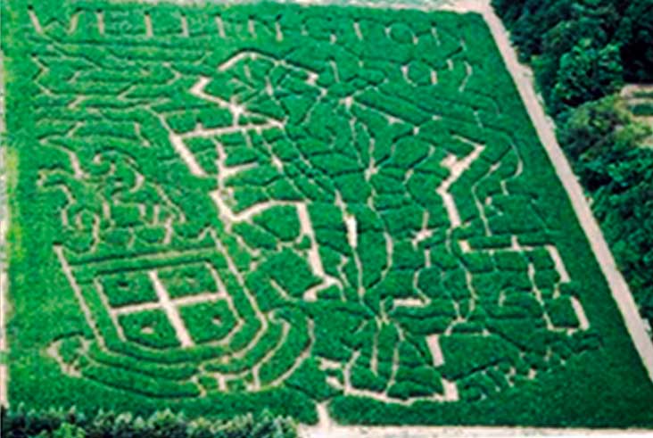 Aerial View of the 2004 Grand River Conservation Authority Maze layout at Strom's Farm.