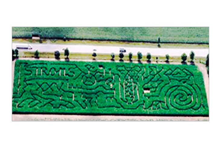 Aerial View of the 2003 Strom's Farm Second Maze.