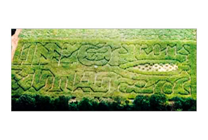 Aerial View of the 2002 Strom's Farm First Maze.