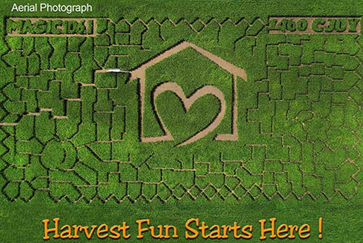 Aerial View of the 2019 Michael House Maze design at Strom's Farm.