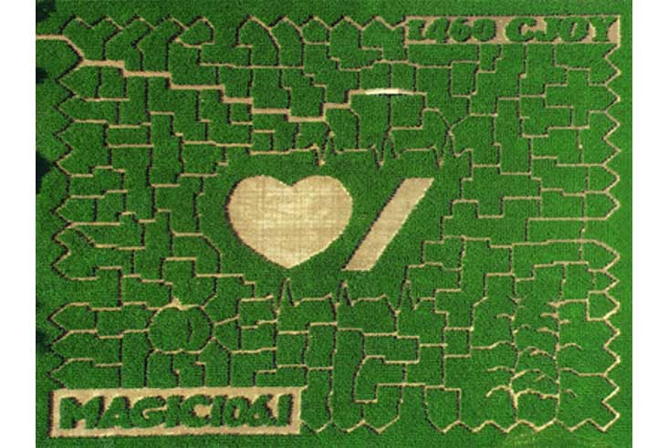 Aerial View of the 2018 Heart & Stroke Foundation Maze design at Strom's Farm.