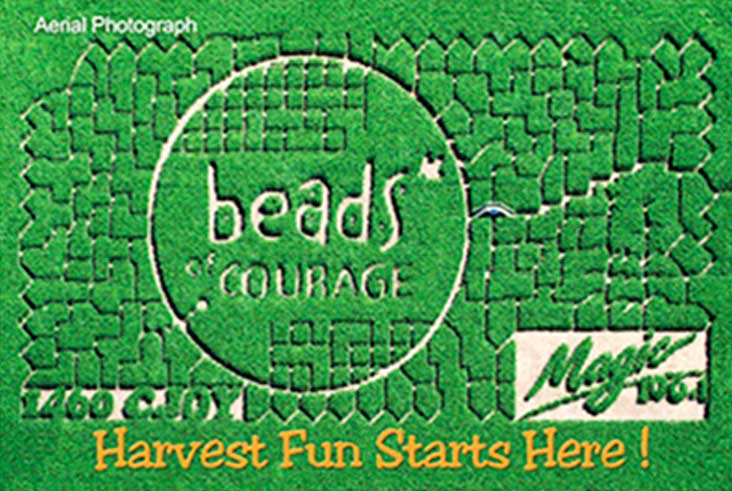 Aerial View of the 2013 Guelph Hospital Beads of Courage Charity Maze and Strom's Farm.