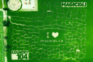 Aerial View of the 2024 McMaster Children's Hospital Maze design and Strom's Farm.