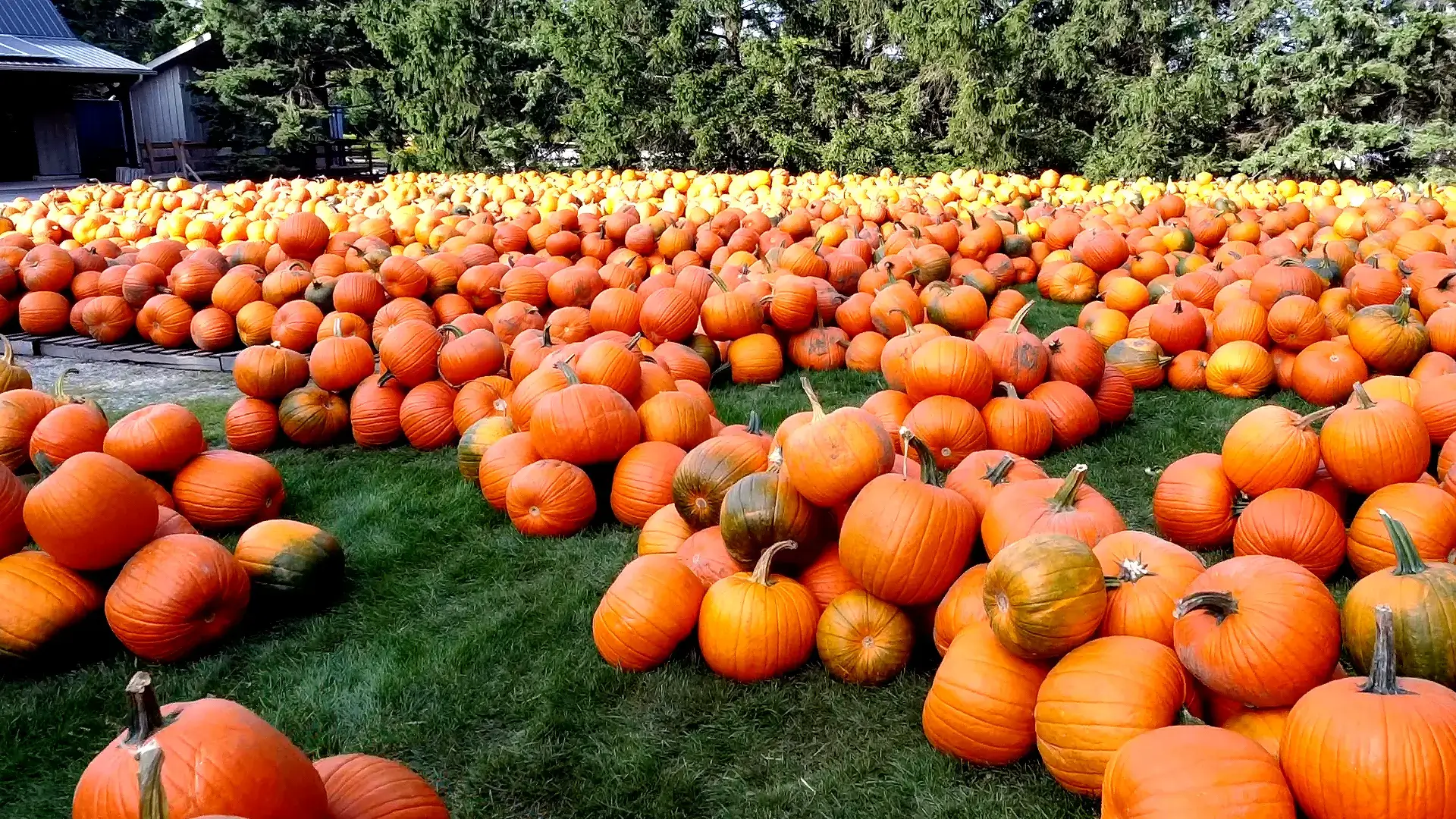 Strom’s Farm and Bakery, Guelph (near Brampton)