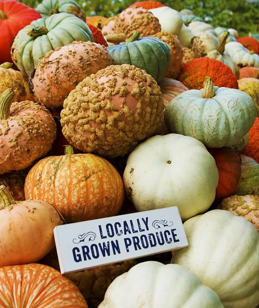A stacked display of locally grown specialty pumpkins at Strom's Farm & Bakery in Guelph, Ontario, sitting behind a rustic white 'Locally Grown Produce' sign. The pile features unique fall market varieties including pale blue Jarrahdale pumpkins, crisp white Ghost Town pumpkins, pink Porcelain Doll pumpkins, and the uniquely patterned One Too Many pumpkin with red veining.