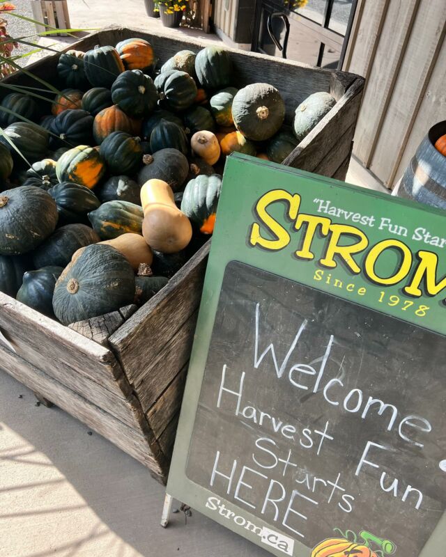 Handformed butter tarts, grown on farm pumpkins and haskaps, holiday decor, and apple cider is just a few of the things that can be found in Strom’s Market Barn. 

Last few days of the season, come stock up your pantry’s for the winter with some local grown and made items.