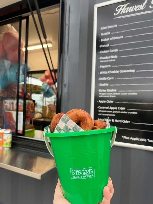 Haskap Mini Donuts😋 Only available this weekend! 

Grab your bucket (or bag) at Harvest Treats! 

#stromsfarm #minidonuts #guelphthingstodo #haskapfestival