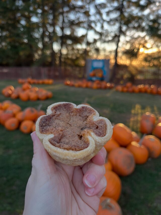 Can’t get enough of these tarts?! It’s time to stock up for the winter! ❄️

Our Market and Bakery is open until October 31. 9:30am-6pm