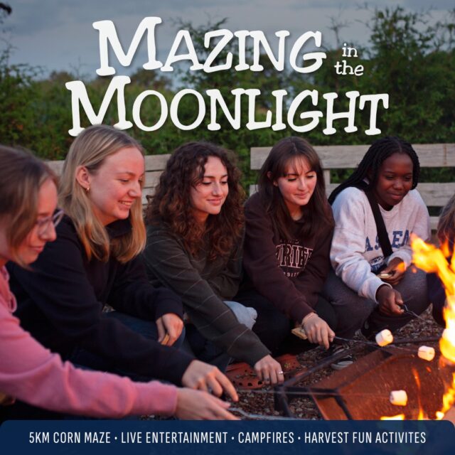 This is not a drill! 🚨 Night Mazes begin THIS SATURDAY! 

On top of our Harvest Fun Activities & 5km corn maze, every night includes special entertainment! 

👉 October 17: Live music with @itscotyrobinson 
👉 October 21 & 28: Glow Night + a custom interactive activity 
👉 October 22 & 29: Line Dancing with @spurofthemomentld 
👉 October 23 & 30: Performances from @noah.nogueira
👉 October 24: Live Music with @bradleyhale_ 

Grab your tickets online at strom.ca 🎟