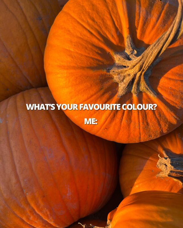 We're soaking up every last moment of the fall colours 🍁🧡 There's just a few days left to make your Fall memories at Strom's Farm! 

⏰ Come visit from Wednesday, October 28 to Saturday, October 31.