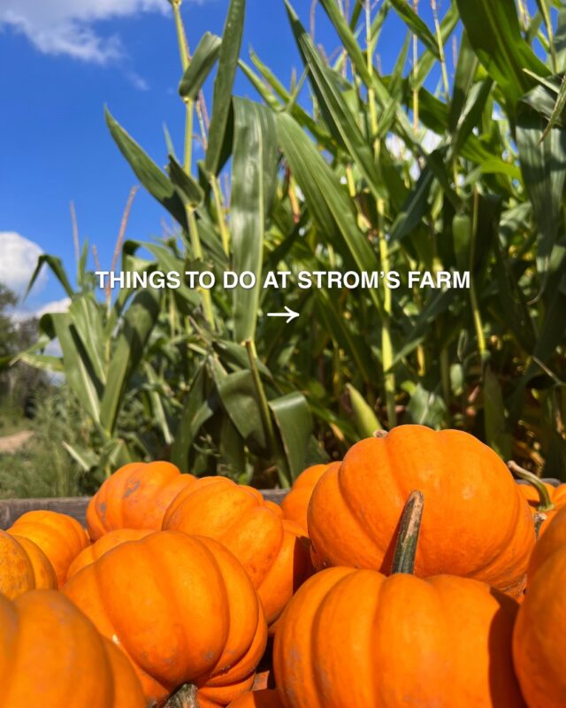 and SO MUCH more!! 

It's opening day! We are so excited to welcome you to our home for a fall season of fun 🤩🧡

Please note some of these activities are only available on weekends. Check out our website for all the details! strom.ca